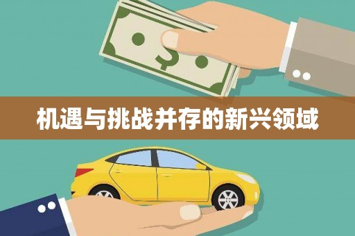 万峦机遇与挑战并存的新兴领域