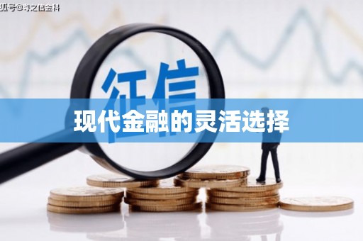 万峦现代金融的灵活选择