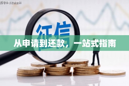 万峦从申请到还款，一站式指南
