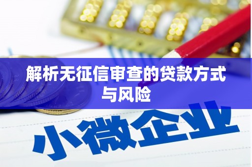 万峦解析无征信审查的贷款方式与风险