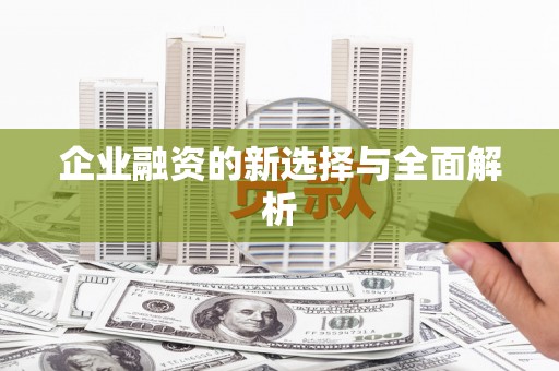 万峦企业融资的新选择与全面解析