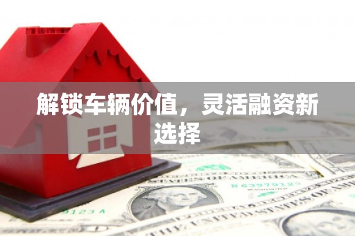 万峦解锁车辆价值，灵活融资新选择