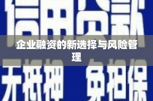 万峦企业融资的新选择与风险管理