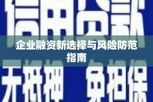 万峦企业融资新选择与风险防范指南