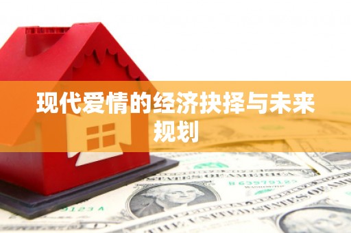 万峦现代爱情的经济抉择与未来规划