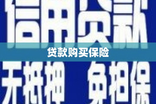 万峦贷款购买保险