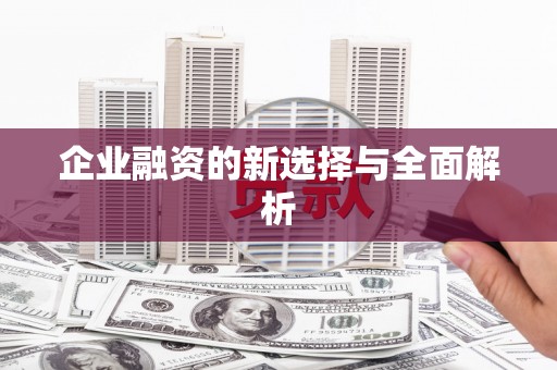 万峦企业融资的新选择与全面解析