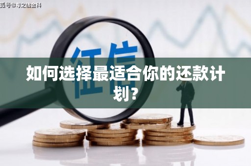 万峦如何选择最适合你的还款计划？