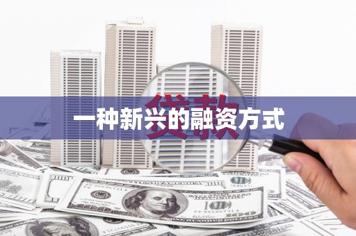 万峦一种新兴的融资方式