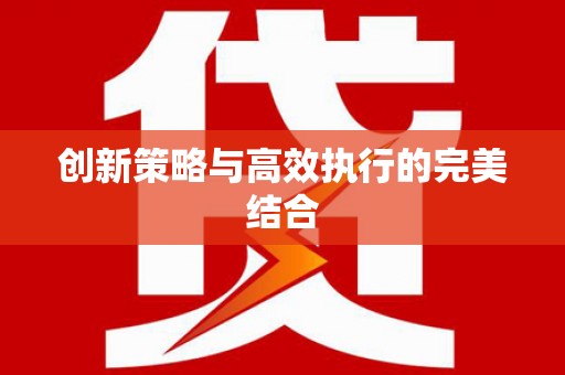 万峦创新策略与高效执行的完美结合