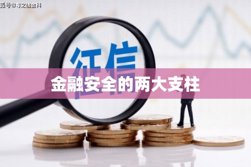 万峦金融安全的两大支柱