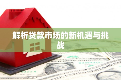 万峦解析贷款市场的新机遇与挑战