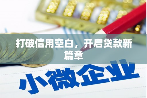 万峦打破信用空白，开启贷款新篇章