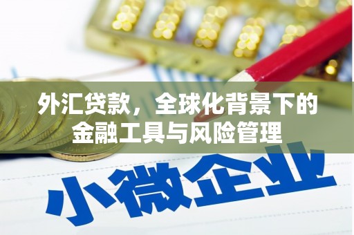 万峦外汇贷款，全球化背景下的金融工具与风险管理