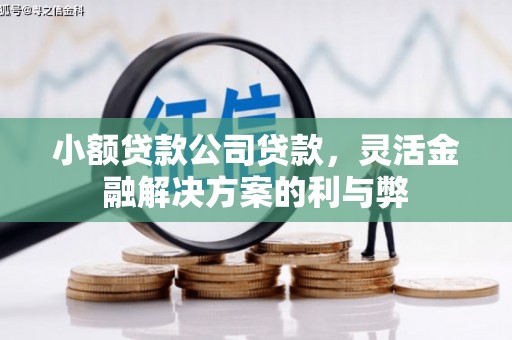 万峦小额贷款公司贷款，灵活金融解决方案的利与弊