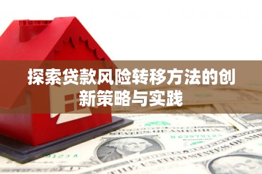 万峦探索贷款风险转移方法的创新策略与实践