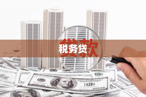万峦税务贷